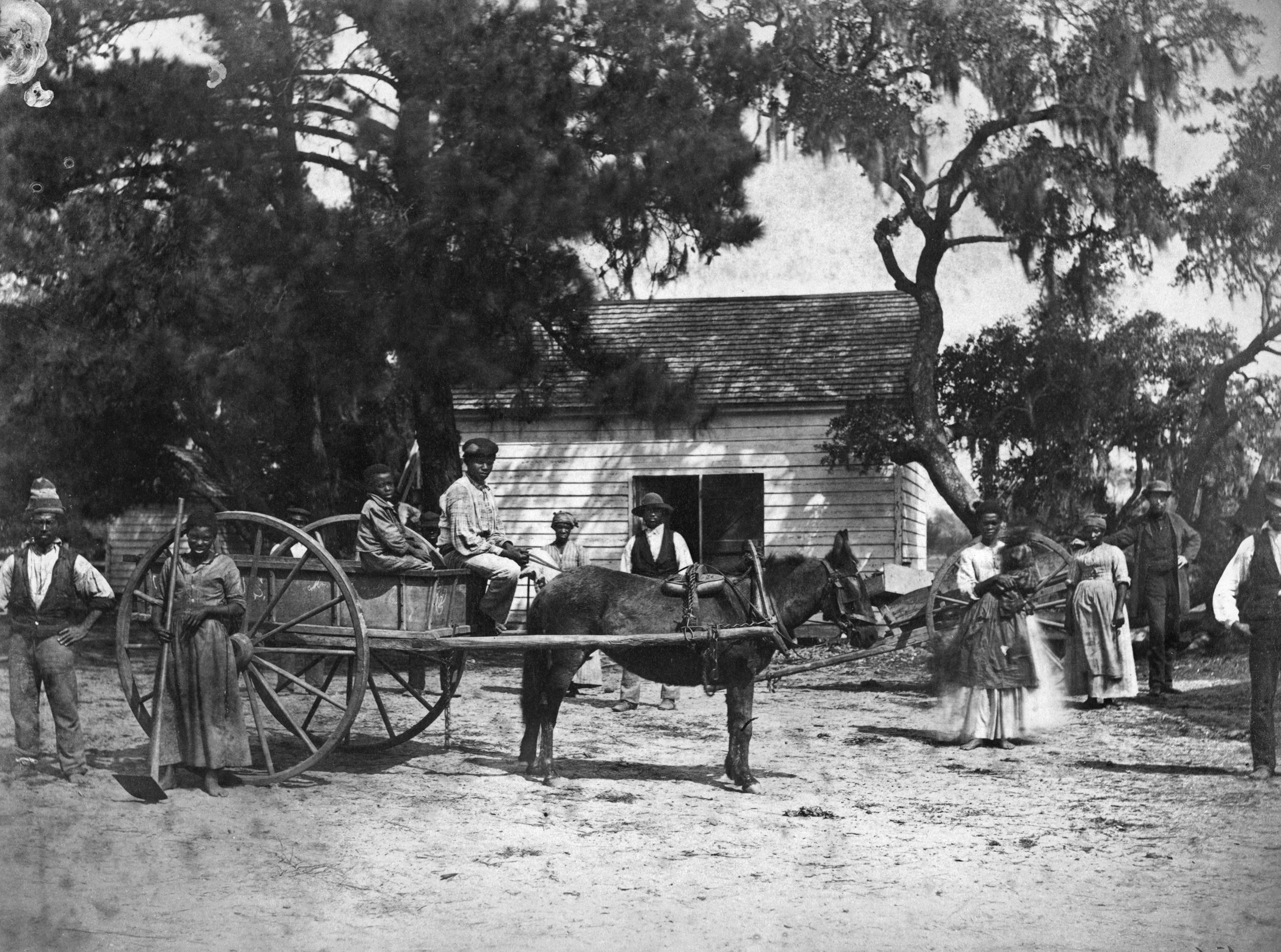 Two young slave boys ride in a cart pulled by a donkey on a South Carolina plantation in 1862. Other slaves pose impassively for the camera.