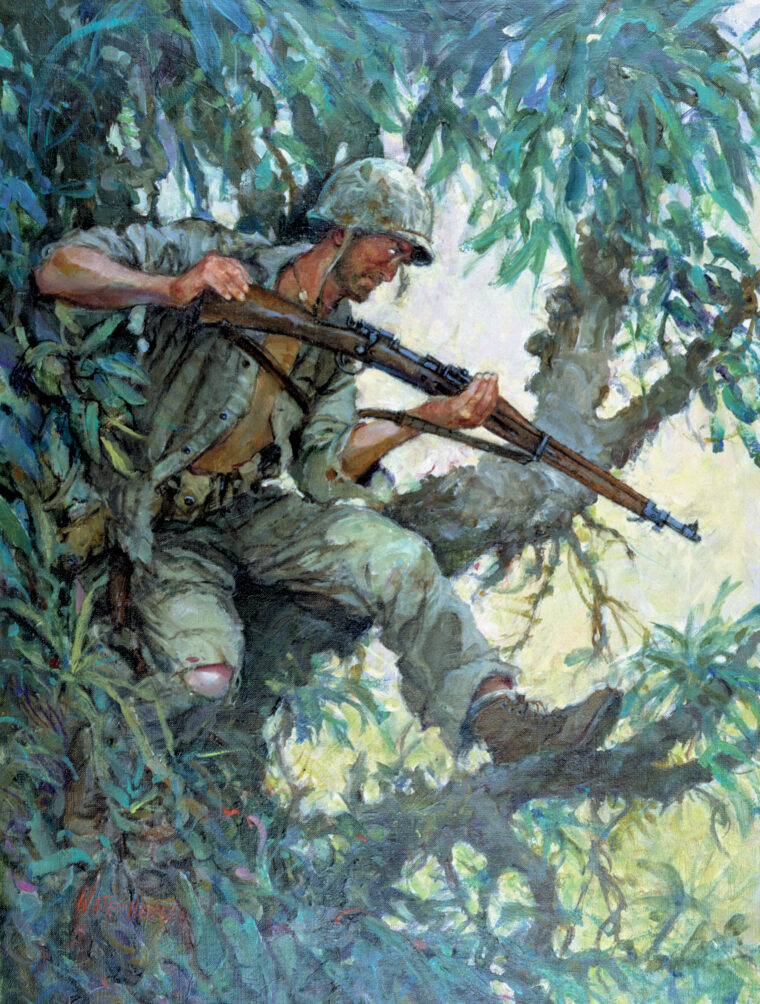 A Marine Raider, rifle at the ready, surveys the ground from his concealed perch in the branches of a tree.