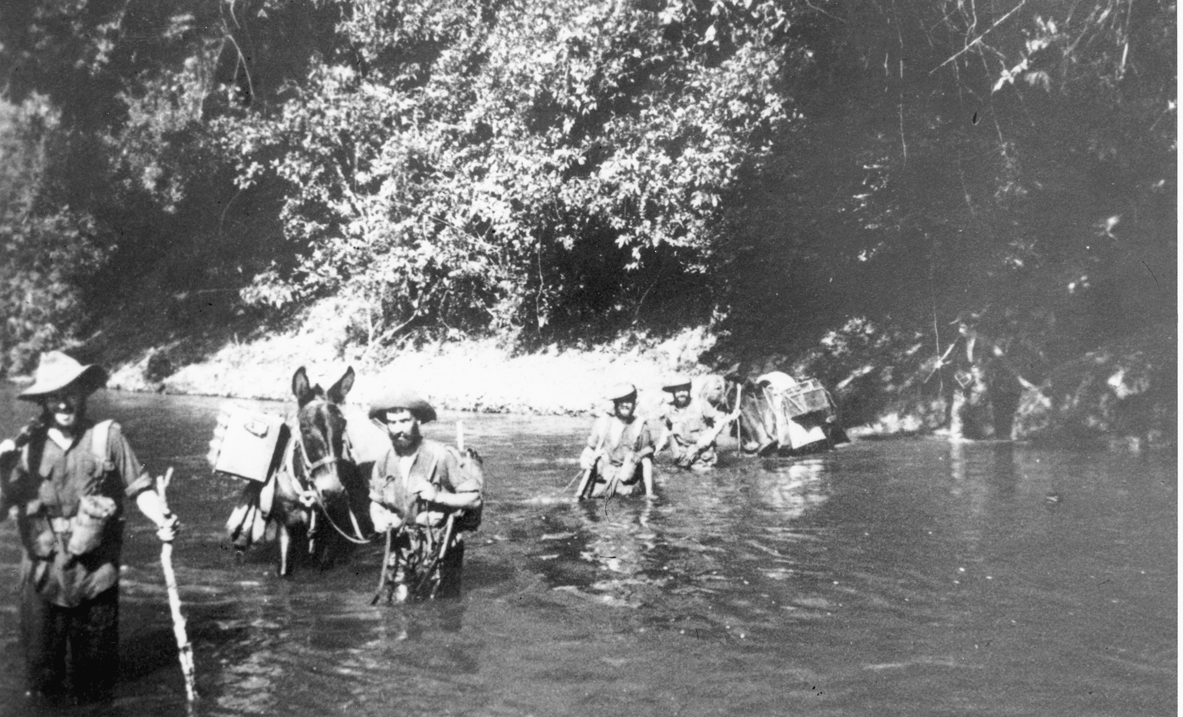 Chindits of the Queens Royal Regiment cross a stream with their pack animals en route to Broadway and eventual evacuation to India.