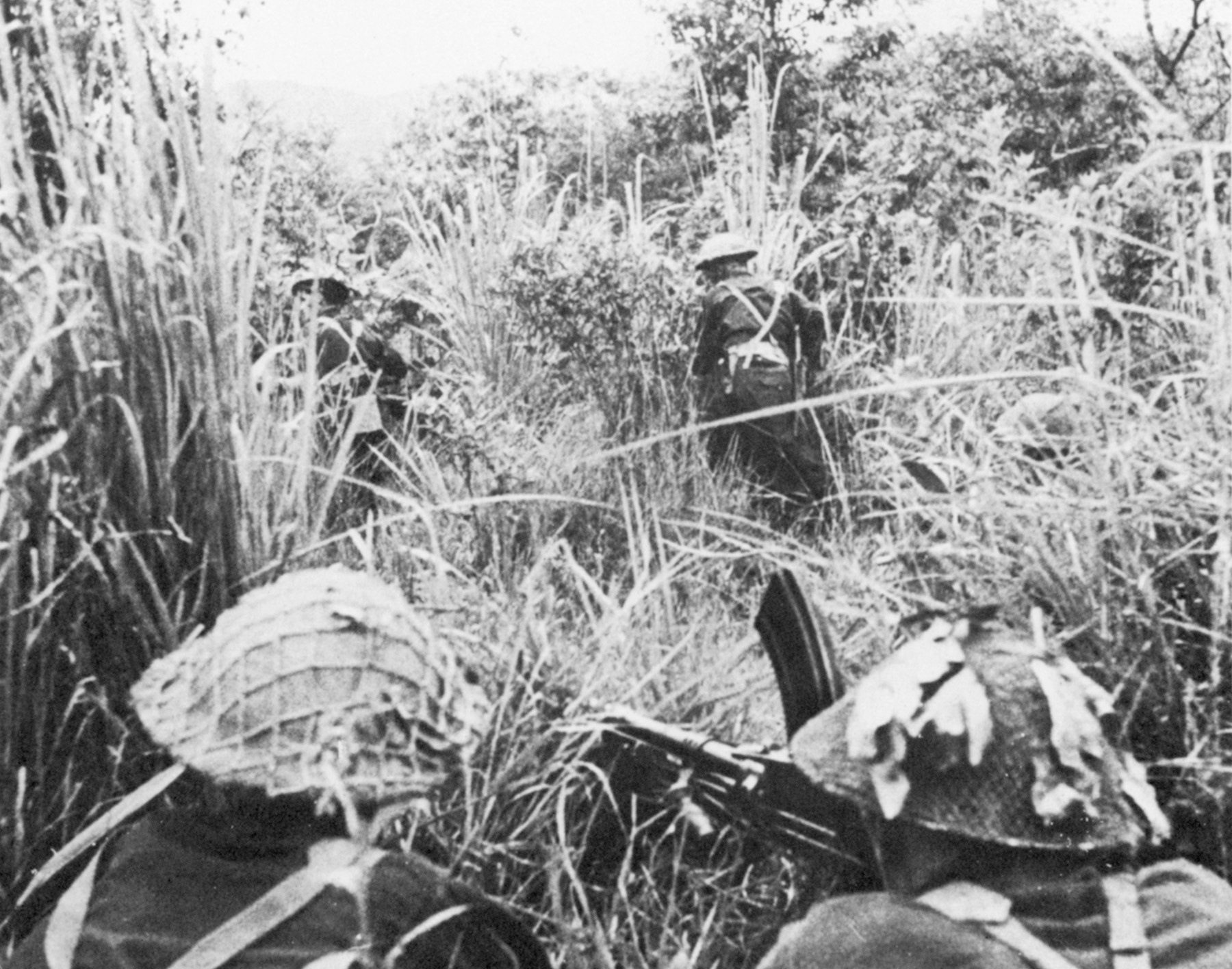 Two men with a Bren gun cover a couple of buddies moving into elephant grass in search of Japanese.