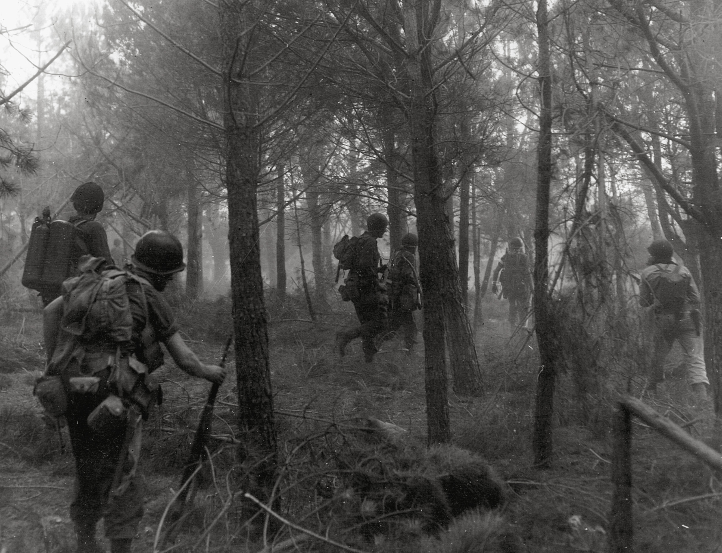 Making their way through a misty wood, U.S. assault teams push inland in southern France.
