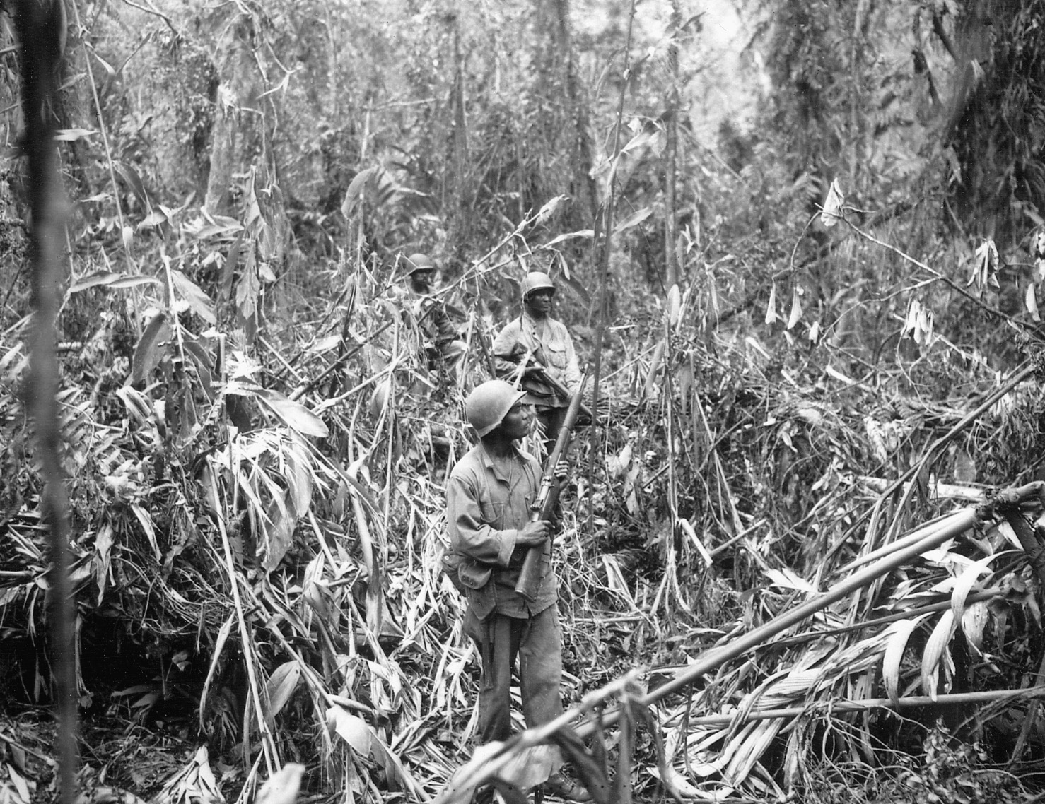 Battling heat, insects, vegetation, and the Japanese enemy, U.S. soldiers of the 93rd Infantry Division advance along the Numa-Numa Trail.