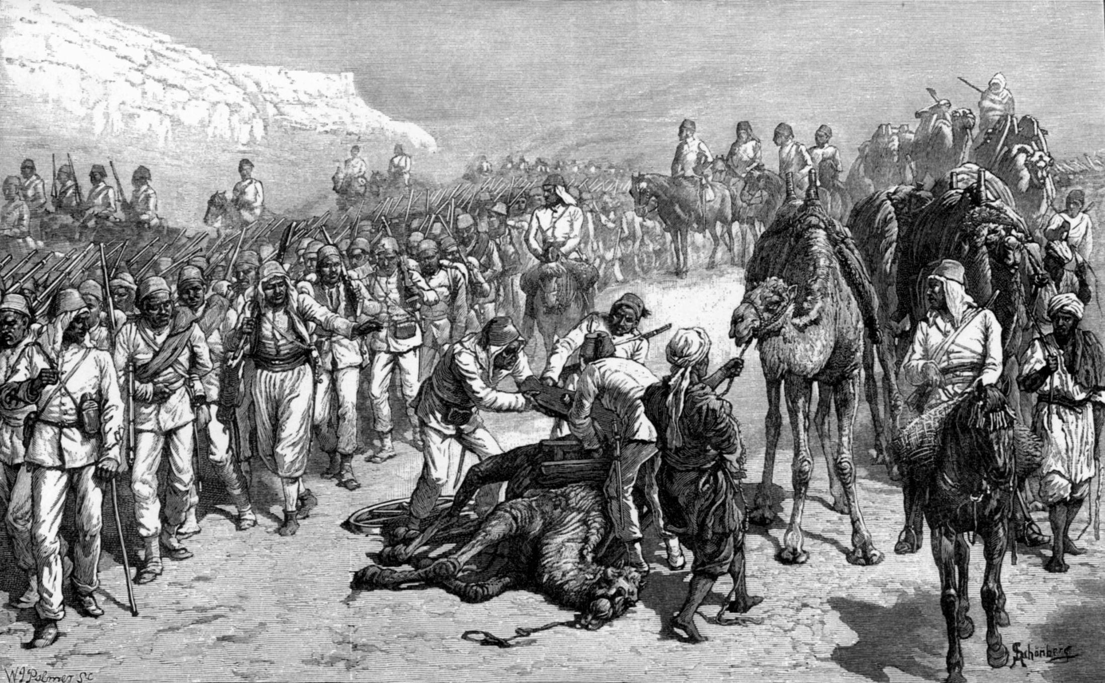 Hick's army goes on the march. The training motivation, and discipline of the Egyptians were abominable. Here an overloaded camel falls dead.