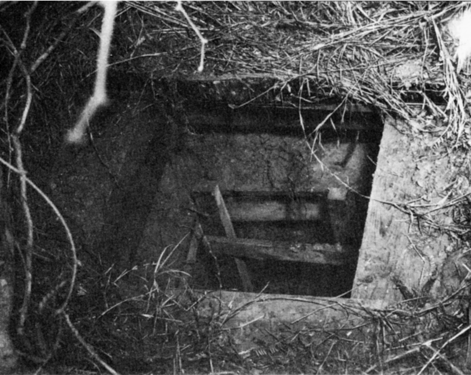 Three days after the Christmas Eve escape, the commander of the Arizona camp learned that a 175-foot escape tunnel, entrance above, had been dug over a period of several months. (National Archives)