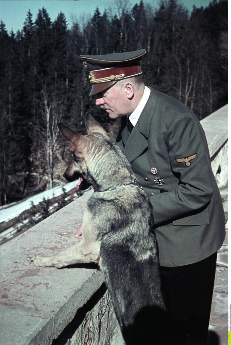Hitler relaxes on the terrace at Berchtesgaden with his most famous pet, Blondi. The German Shepherd was later poisoned during a test of the potency of the Führer’s cyanide.