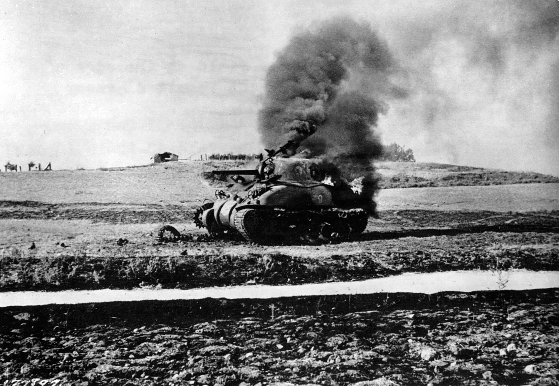 An M4 Sherman tank burns fiercely after being knocked out by enemy artillery fire in a field near Canicatti, Sicily. 
