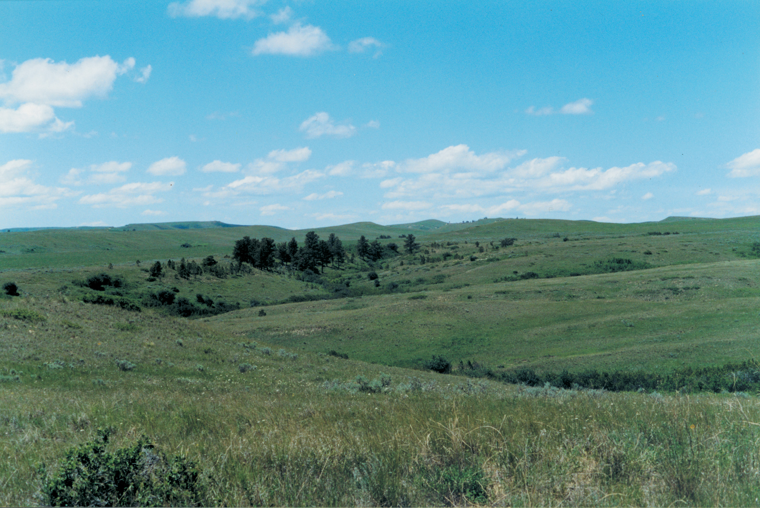 A portion of the battlefield as it appears today.