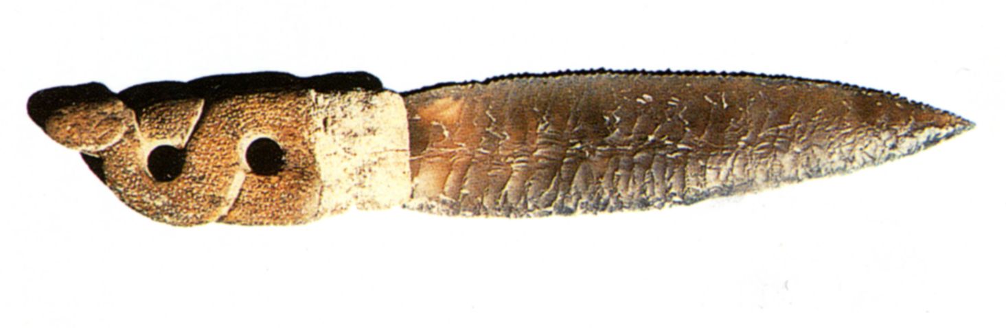 This 6th-century bc flint dagger with bone hilt was discovered in central Turkey.