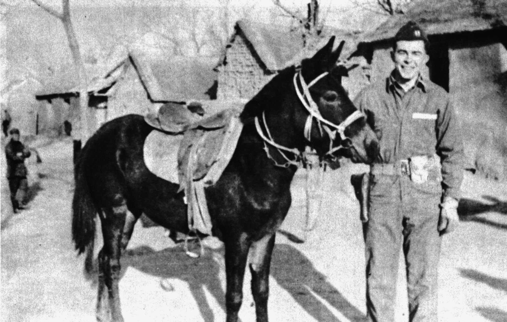 John Birch poses with a Mongolian pony he once rode for 60 miles through a snowstorm over rough terrain in one day.