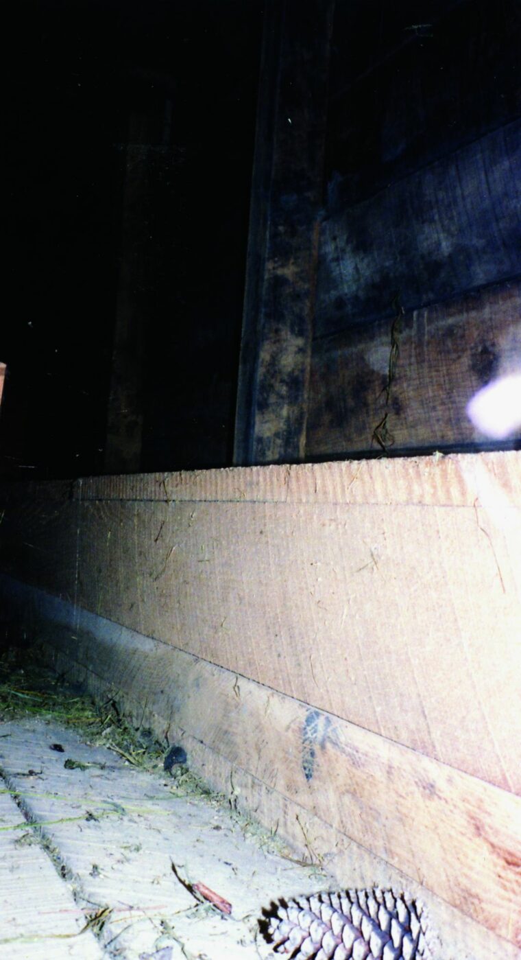 The entrance to the tunnel was boarded up for years, but today visitors can look inside the cramped space. Its height is only about four and a half feet and the air tunnel runs along the floor.