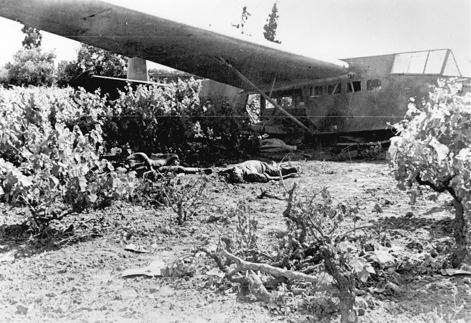 Dead German assault troops lie sprawled alongside the wreckage of their glider in a wooded area on Crete. Casualties among the elite German soldiers who participated in the battle were 
horrendous and prompted Hitler to forbid their use in future airborne operations.