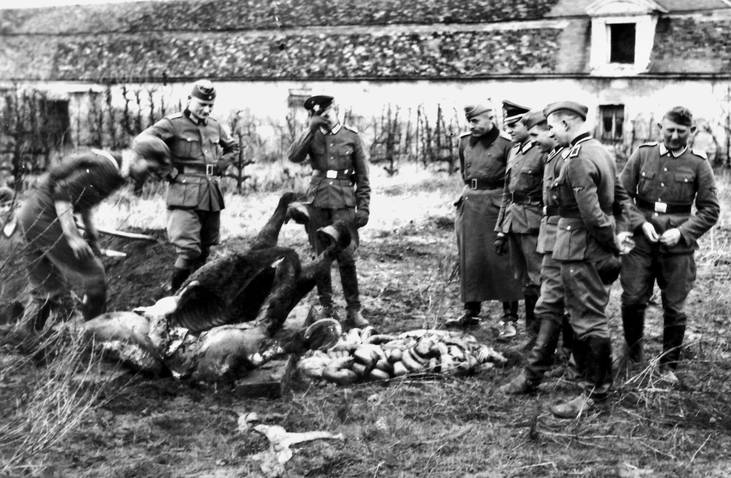 HORSE MEAT: A horse has been disemboweled in preparation for a meal. Usually an act of desperation when food supplies have run out, this may not be the case here, as the soldiers seem well fed and in good cheer as they watch the process. The barn appears to be French, so it may be a captured French farm horse being cut into steaks. As the war ground on in the East, tens of thousands of horses literally became mincemeat for starving troops on both sides as well as for civilians.