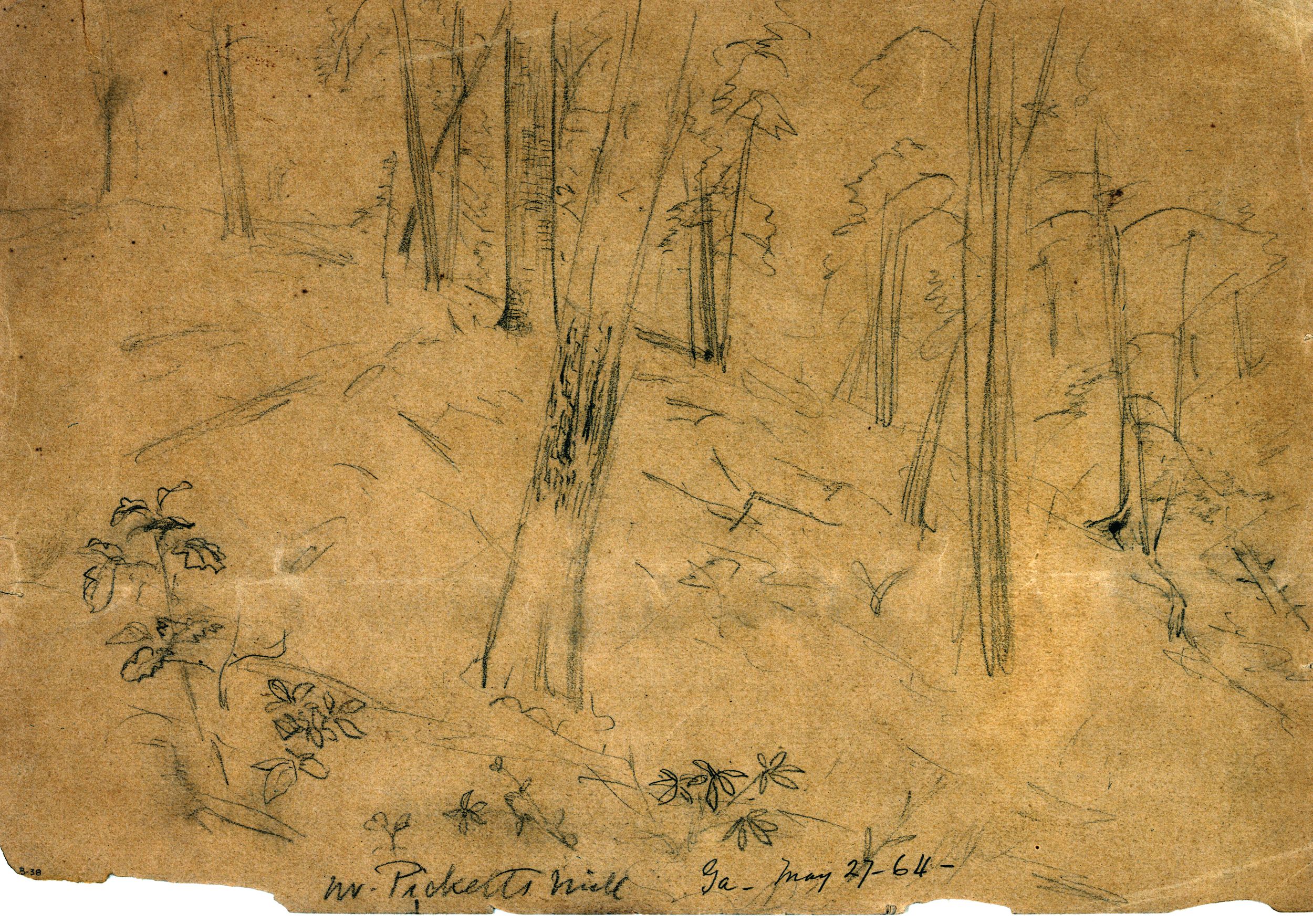 Battlefield artist Alfred Waud made this quick sketch of the bullet-devastated landscape at Pickett’s Mill.
