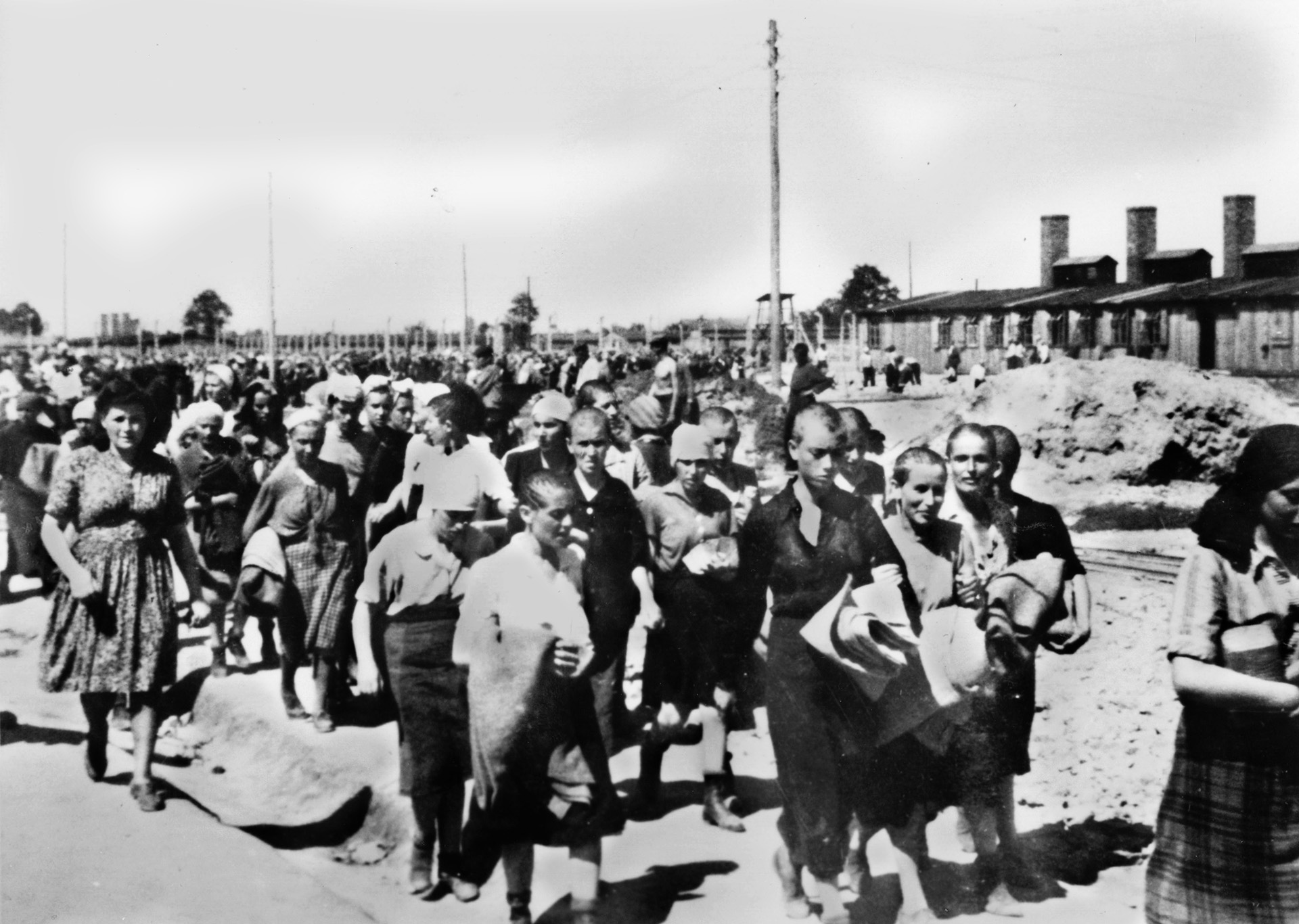 Irma’s victims: Hungarian Jews, most of whose heads have recently been shaved, march through Auschwitz-Birkenau, June 1944. Most would die in the gas chambers.