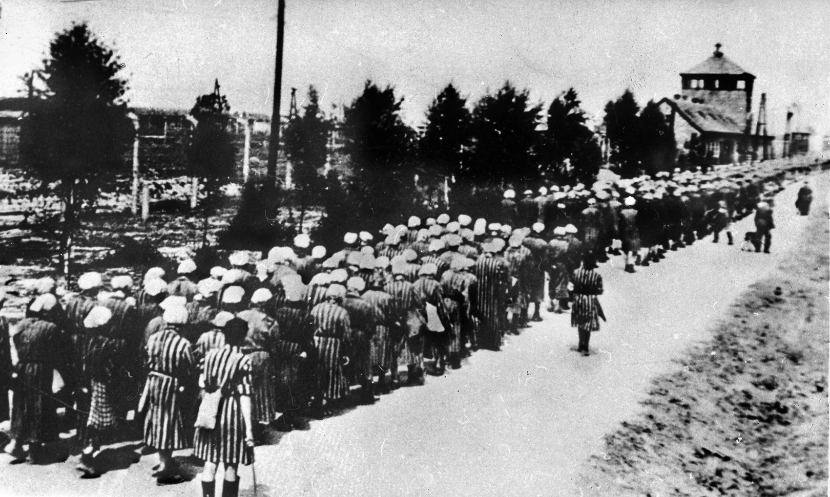 Female prisoners at Auschwitz-Birkenau return from a work detail. Inmates here were especially fearful of Grese and her sadistic excesses.