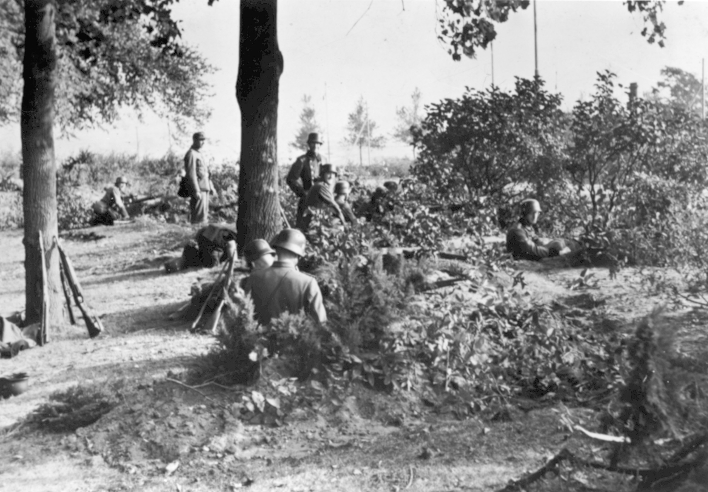A German photograph of a German position during the battle.