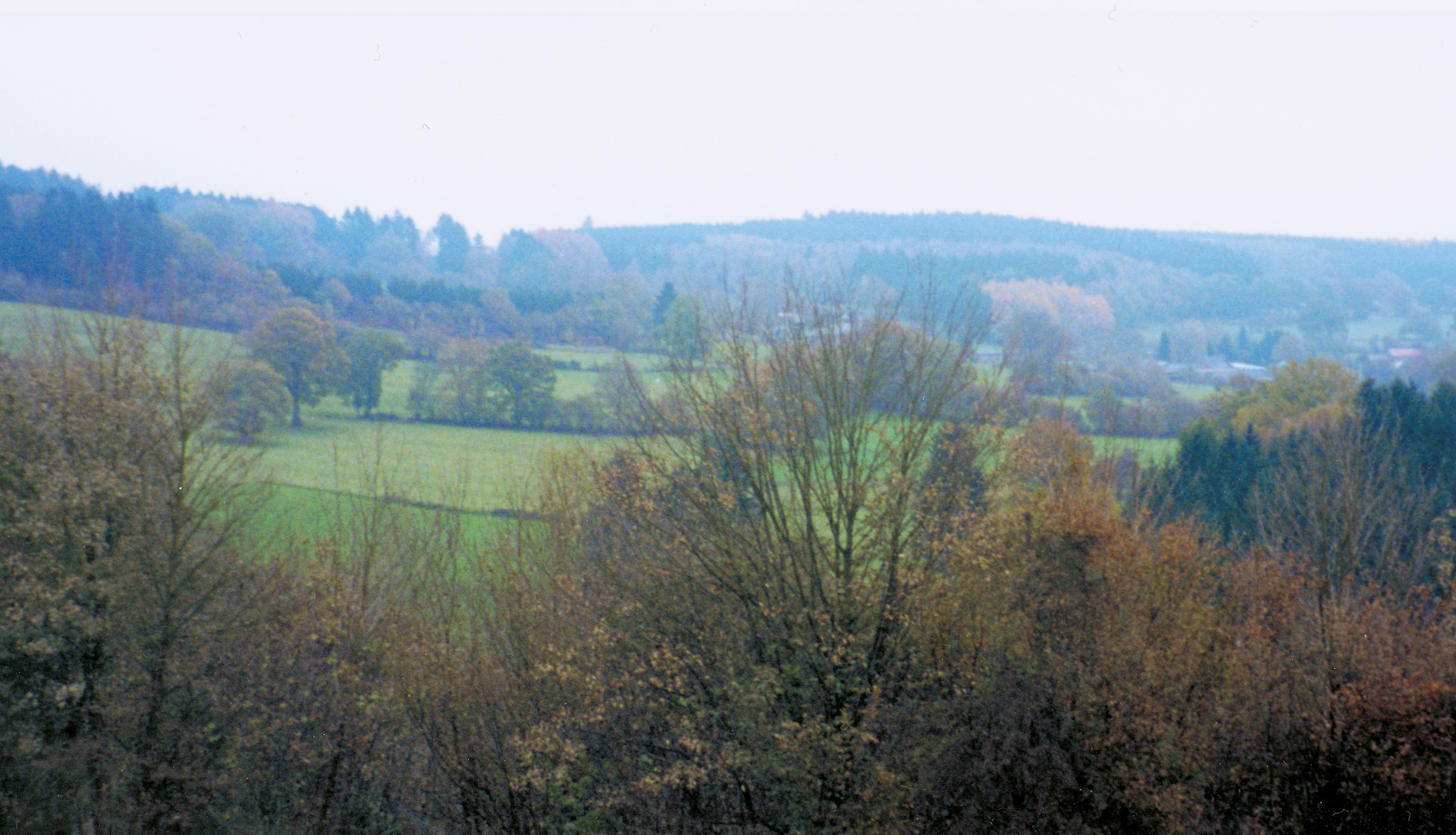 The terrain over which the 551st had to attack held forest, field, and tree-lined lanes.