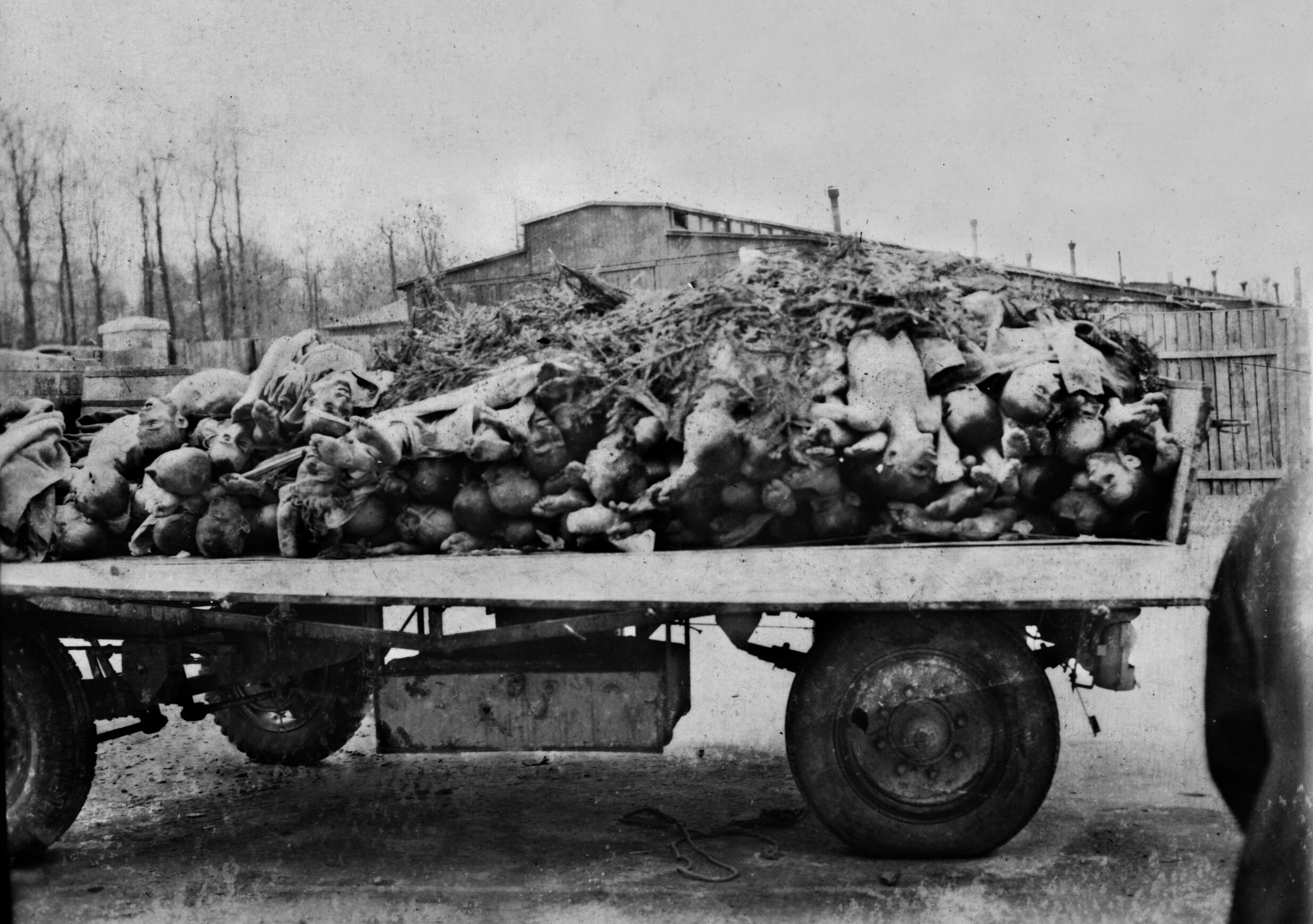 Piles of emaciated corpses were left at Buchenwald as silent witnesses to the Nazis’ brutal treatment of inmates.