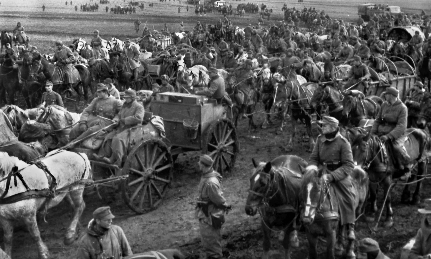 The number of horses in this scene of German forces retreating west through the Soviet Union in 1944 gives an idea of the number of horses that units on the Eastern Front required to advance and retreat during four years of brutal warfare. 