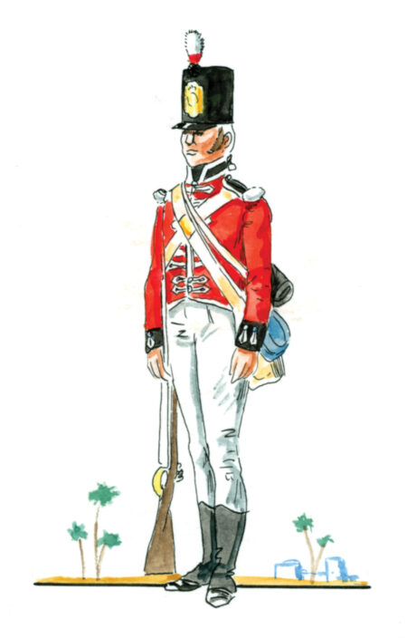 a Swiss soldier of the Regiment de Watteville