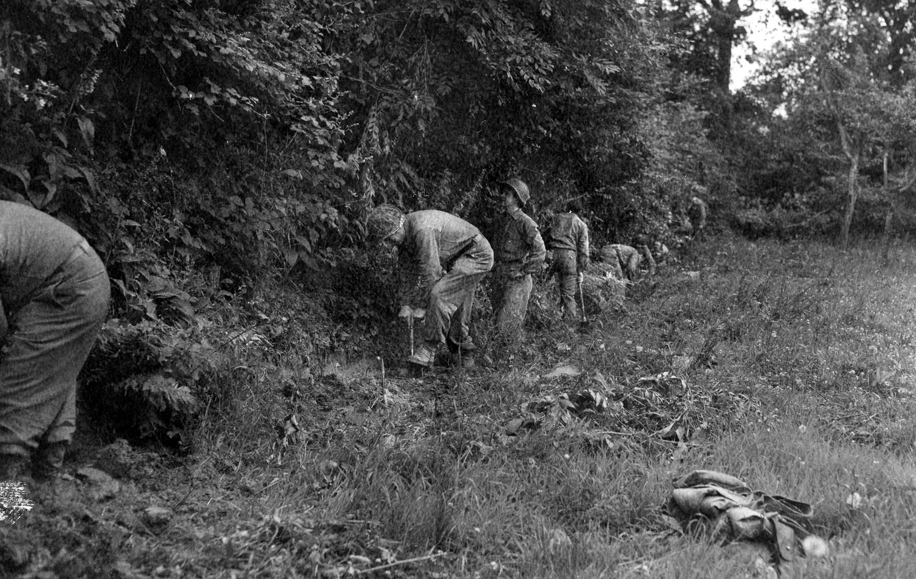 American soldiers dig in along the edge of a hedgerow. The Americans learned quickly to dig in and hug the hedgerows when enemy shelling began.
