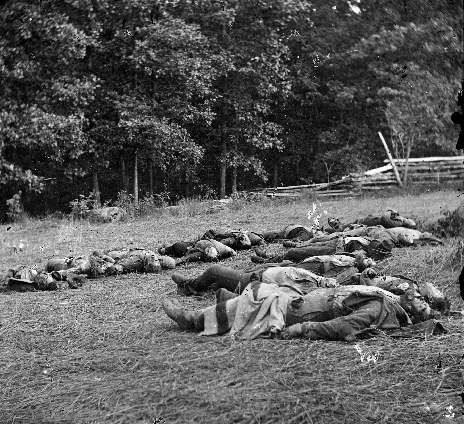 Confederate dead at the southwestern edge of Rose’s Woods. The Confederates took full advantage of Sickles’ amateur generalship to inflict high casualties on his unfortunate corps.