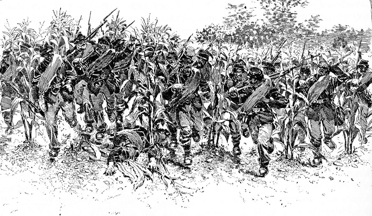 The Iron Brigade battled several Confederate units during the bloody fighting in D.R. Miller’s 30-acre cornfield at Antietam.