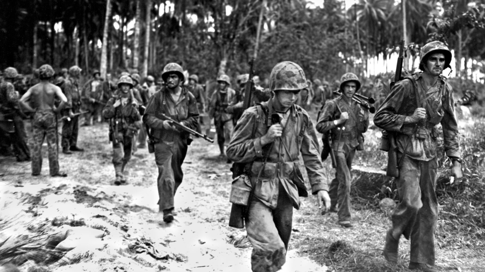 Bougainville Island Campaign (1943), PDF, Company (Military Unit)