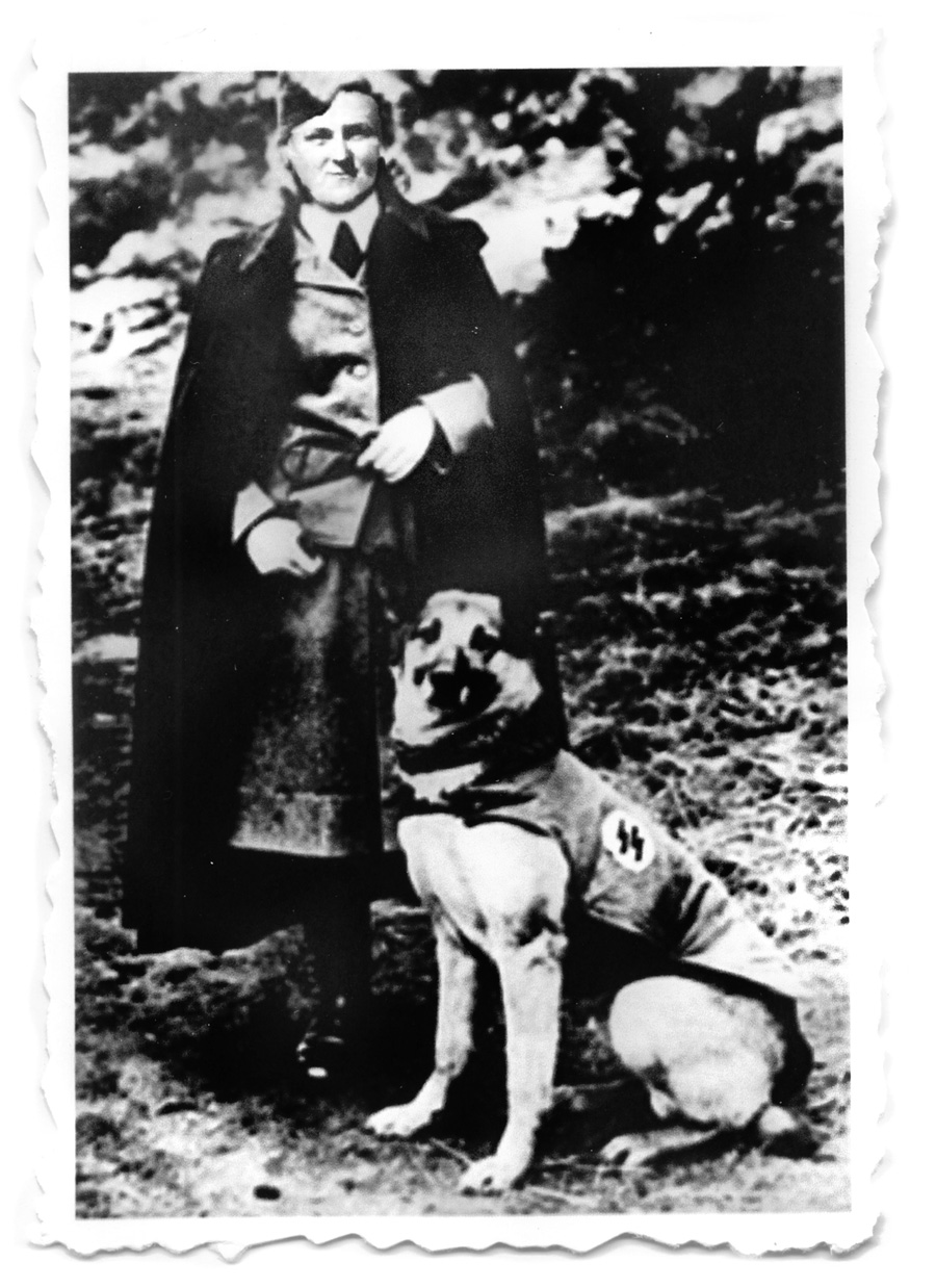 The female guard identified as Erika Buckener poses with her uniformed companion. Nazi Germany trained some 200,000 war dogs as sentries, guards, messengers, and scouts, the largest number serving with SS units at concentration and POW camps. Erika Buckener survived the war and lived to a comfortable old age.