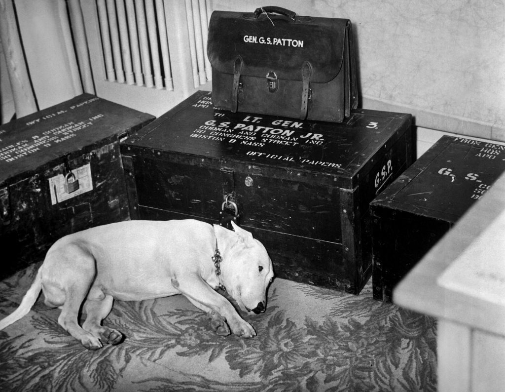 Not long after Patton’s death, his dog Willie lies among the general’s personal effects, waiting to travel to the United States without his master.