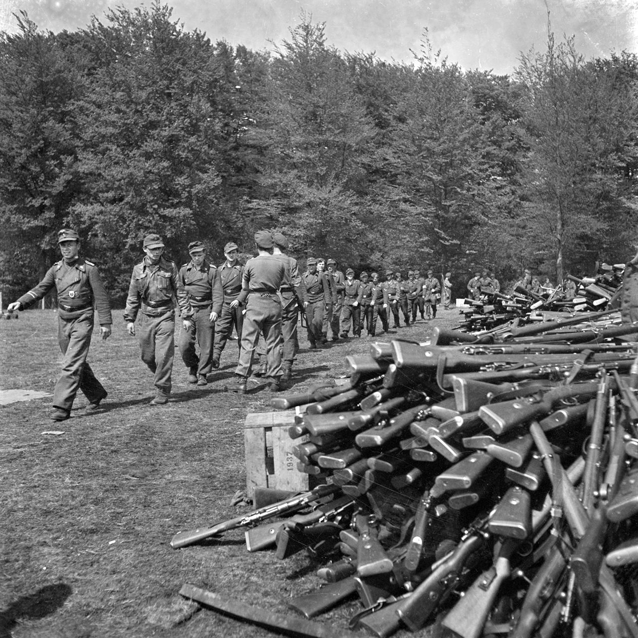 After surrendering their weapons, stacked in the right foreground in this photo, disarmed German soldiers march off to captivity.  This photo was taken on May 10, 1945, in the Netherlands.