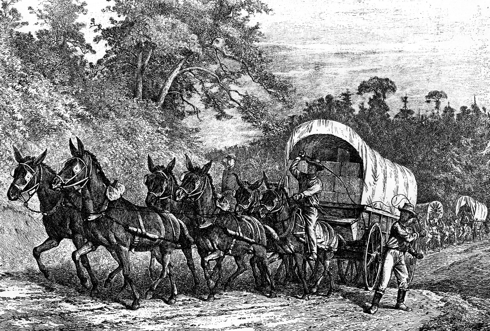 Federal wagons drawn by mules created a bottleneck at the bridge over Tishomingo Creek during the panicked Union retreat.