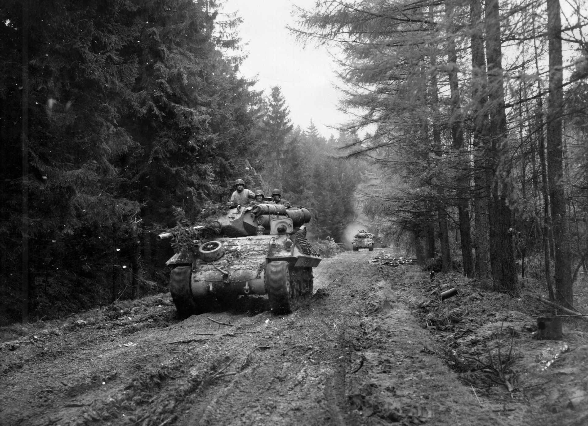 M10 Wolverines from the 893rd TD Battalion roll through the Hürtgen Forest on their way to the battle at Schmidt, Germany. Dean Kenney was a member of this unit.  