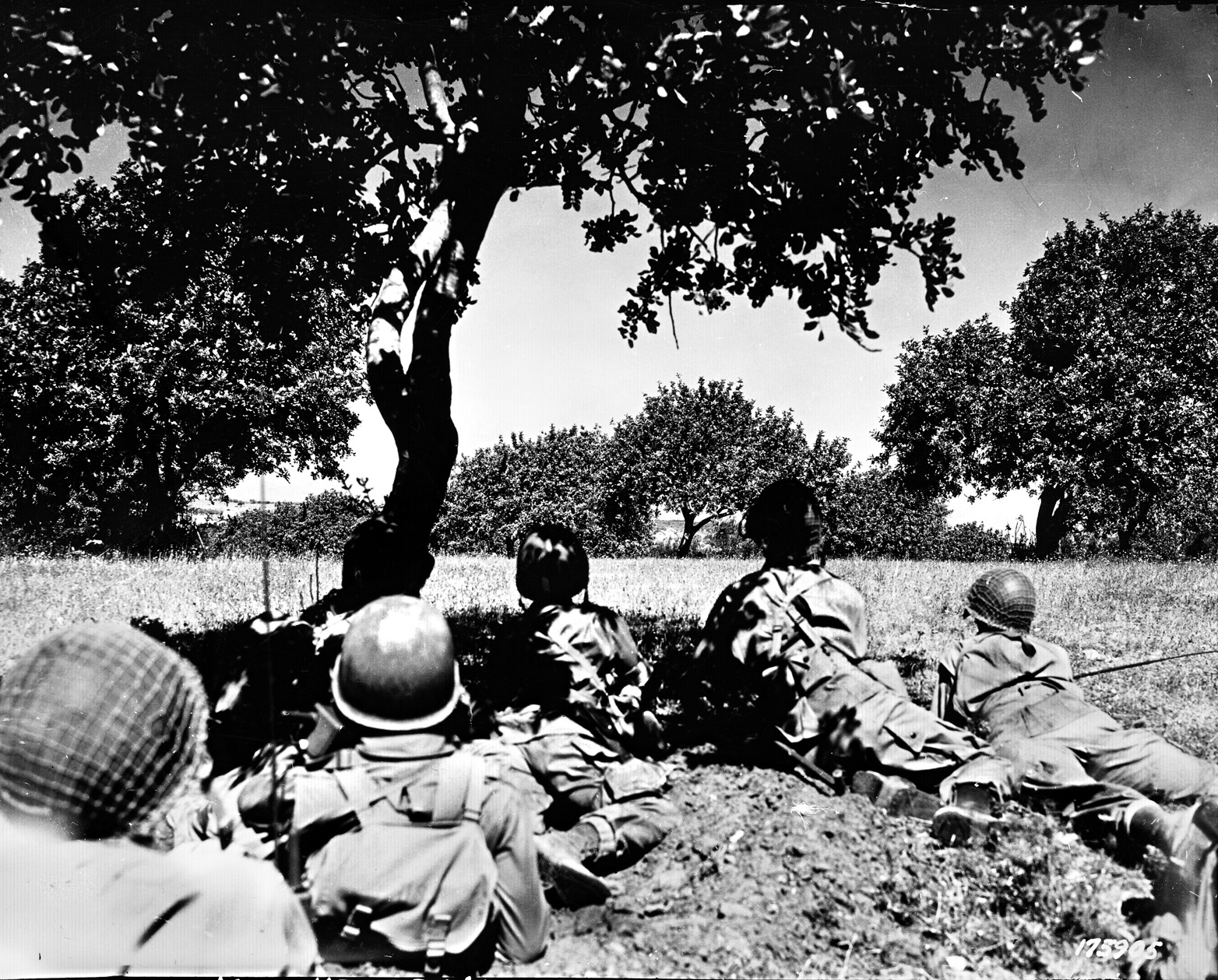 82nd Airborne Division paratroopers study the battlefield outside Gela, before they attacked Italian troops trying to repulse Patton’s landings. 