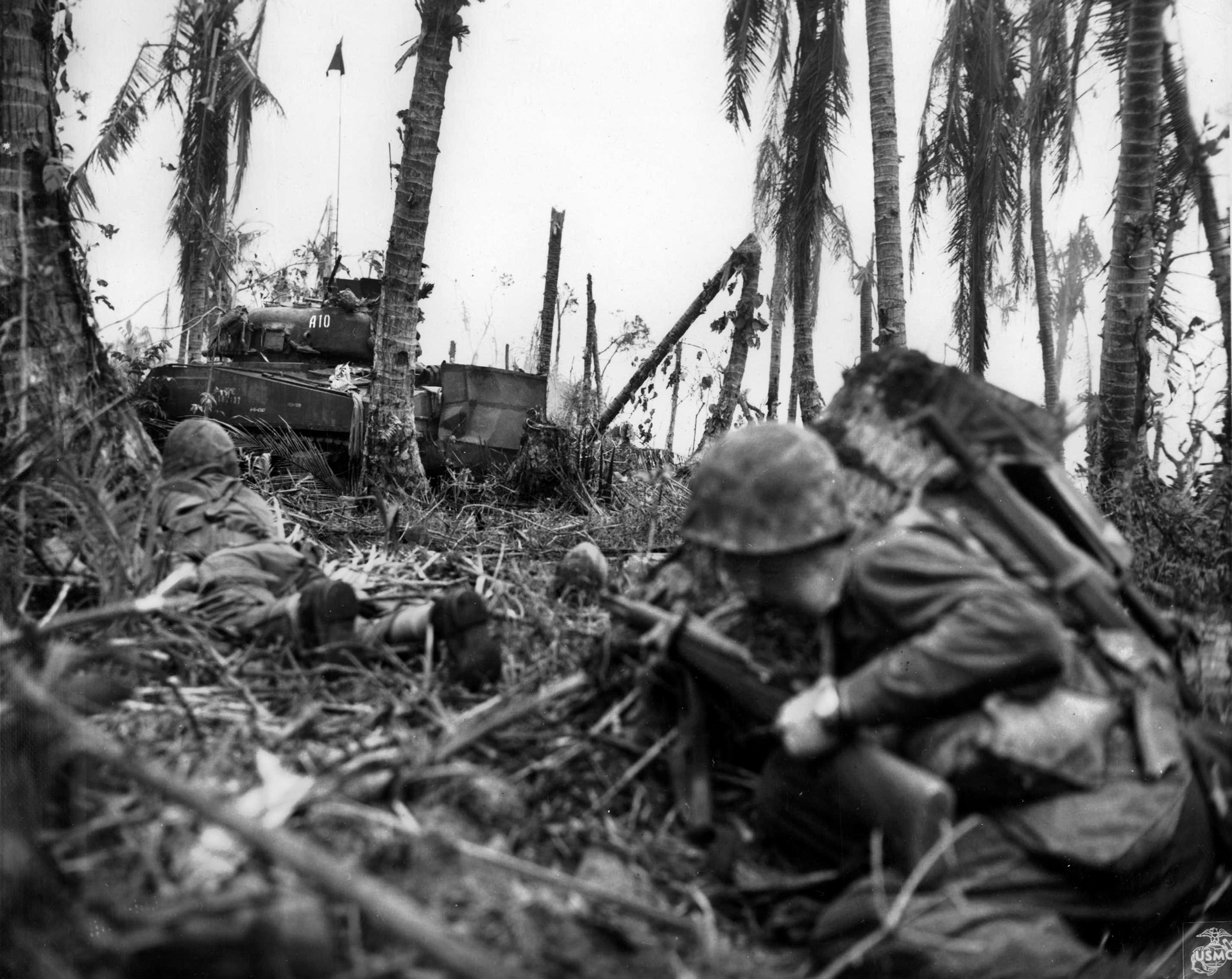 During attacks against well-concealed Japanese strongpoints on Peleliu, Marines advance cautiously and with the cover of an M4 Sherman medium tank.
