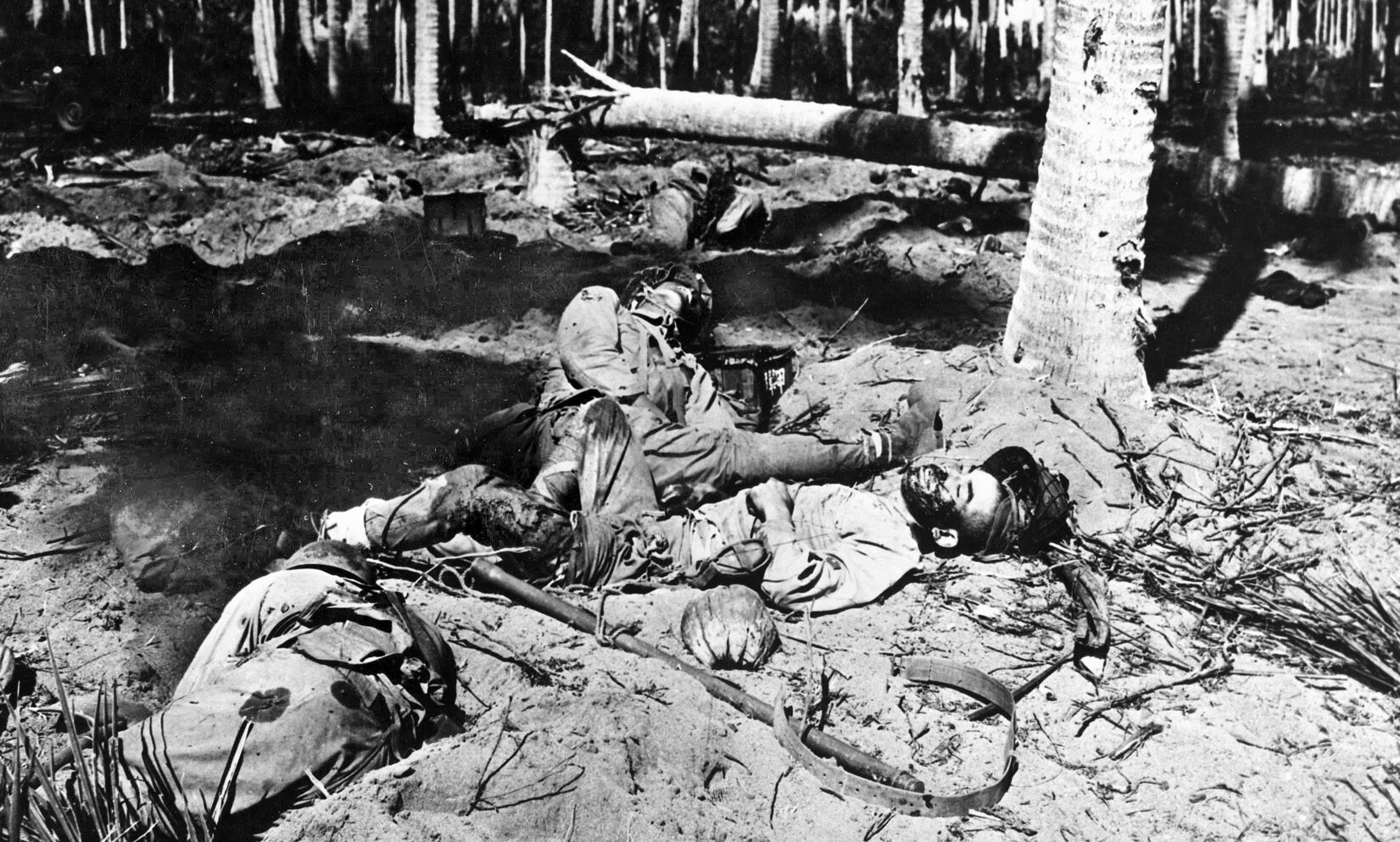 Dead Japanese soldiers of the Ichiki Detachment lie where they fell in a coconut grove near the mouth of the Ilu River on Guadalcanal. 
