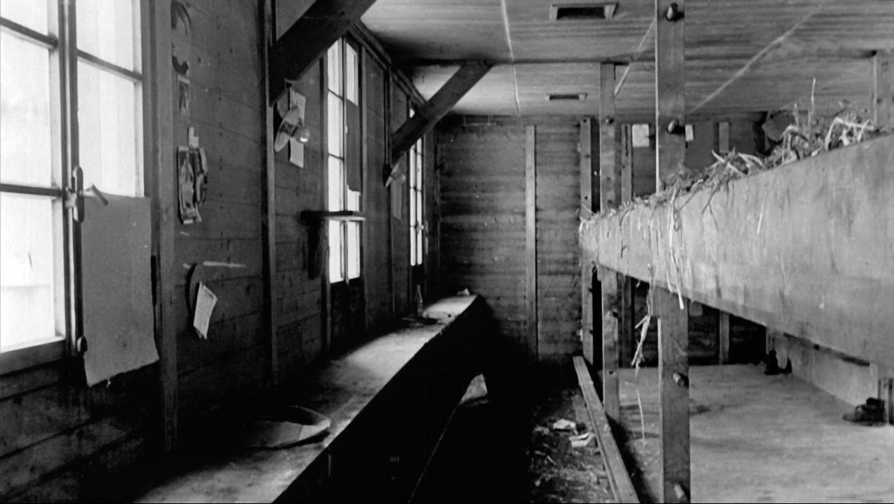 Swiss guards walk sentry duty at the prison camp at Wauwilermoos.  American internees  who attempted to escape or caused trouble were often imprisoned there, and the living conditions  were far from comfortable. BELOW: The interior of a barracks at the Wauwilermoos prison camp reveals a Spartan living arrangement where up to 90 American internees were crowded into space originally  intended to accommodate only 20 men. OPPOSITE: A collection of American aircraft interned in Switzerland during the war sits idle at an airfield somewhere in the neutral country.