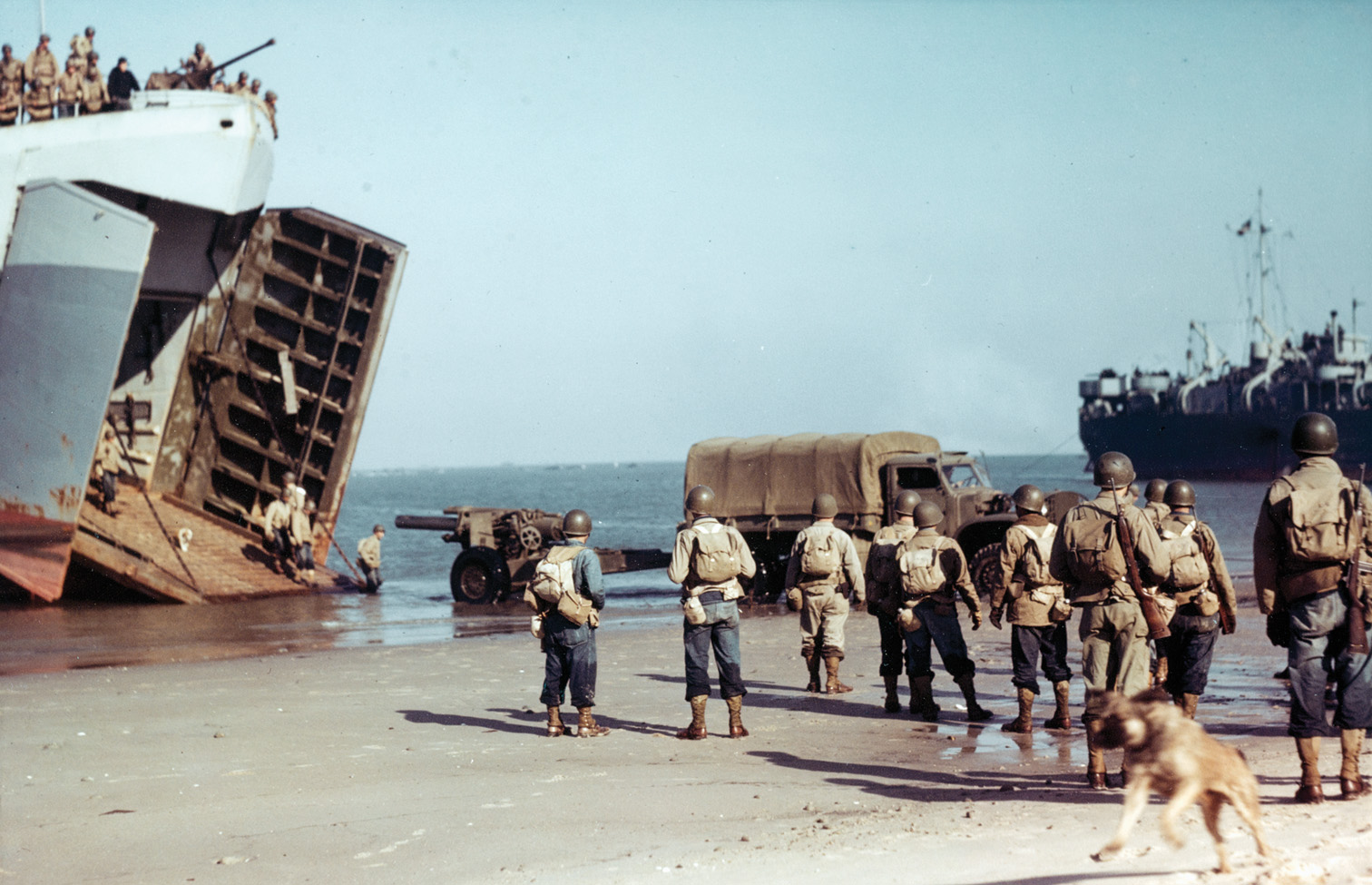 LSTs (landing ship, tank) were the backbone of amphibious cargo and personnel transport on a tactical level. In this photo taken at the Amphibious Training Base at Camp Bradford, Virginia, sometime in 1943-1944, an LST offloads an Army truck with a towed howitzer.