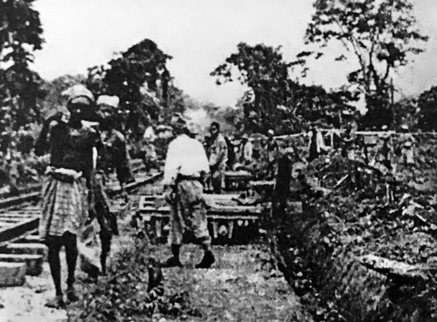 Malaysian natives known as Tamils were also conscripted by the Japanese to construct the railway. 