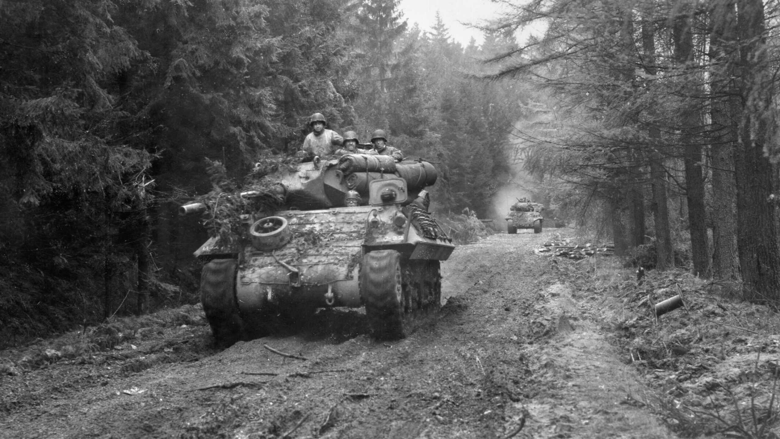 Vehicles from the 893rd Tank Destroyer Battlion roll down a logging trail through the Hürtgen Forest on their way to support the 28th Infantry Division at Schmidt, November 4, 1944.