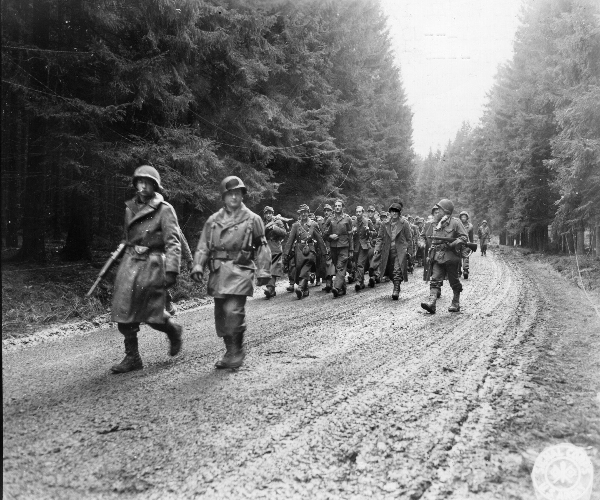 Members of the 28th Infantry Division escort a group of German prisoners captured in Schmidt to the rear, November 3, 1944. The Germans retook the town the next day.