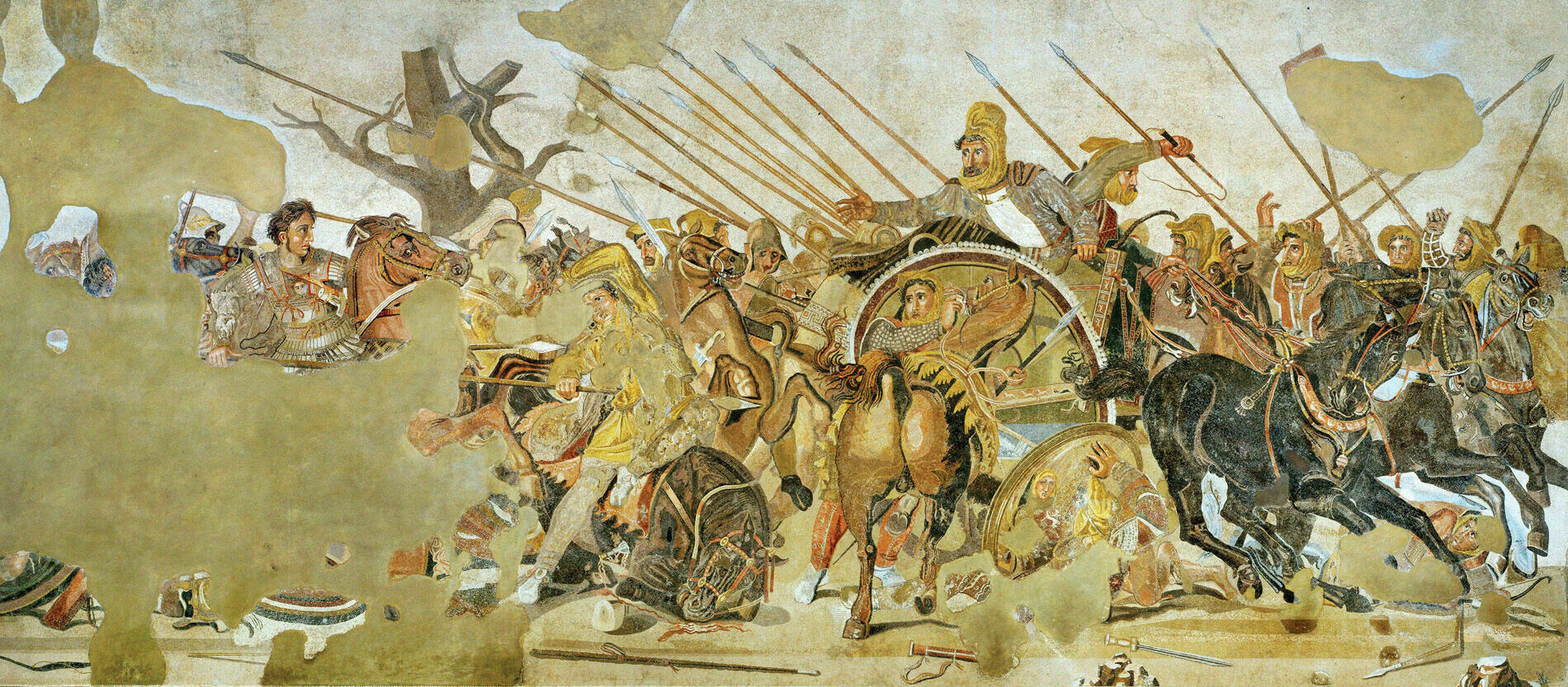 A Roman mosaic from Pompeii is believed to represent the Battle of Issus with Alexander at left pursuing Darius, who is fleeing the battlefield in his chariot. Although he did not capture or slay Darius at Issus, Alexander did return to the battlefield with Darius’s abandoned chariot, shield, cloak, and bow.