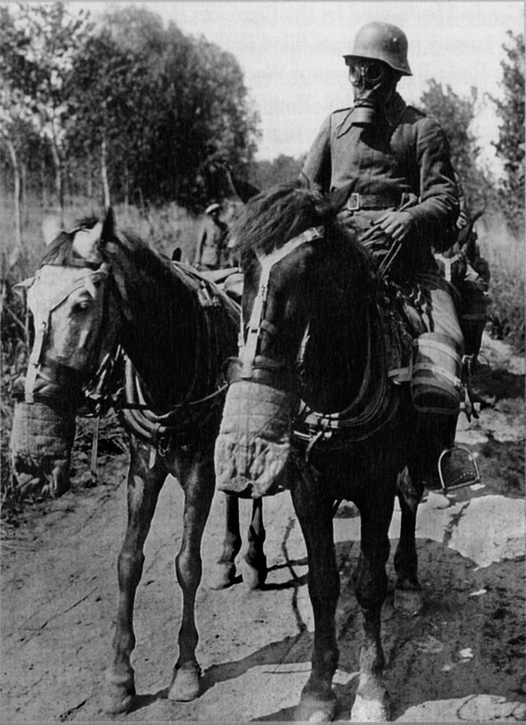 A German soldier and his horses wear gas masks.