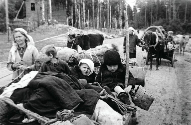 With cattle, children, and all the possessions they could cram into their wagons, civilians escape from the approaching German invaders near Leningrad, July 1941. Over 16 million Soviet citizens became refugees—probably the largest mass migration in history.