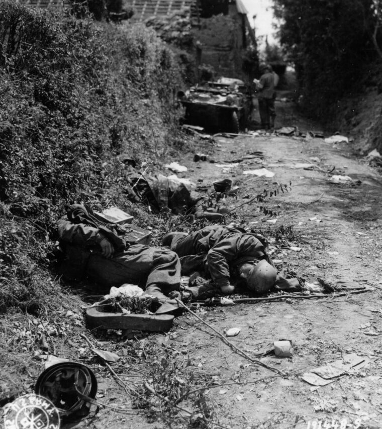 The farm lanes and hedgerows of Normandy were littered with the bodies of dead combatants.
