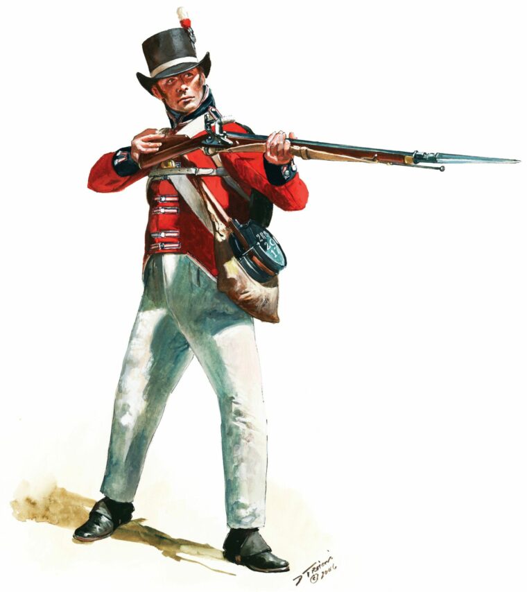 Royal Marine of the 2nd Battalion (1813-1815) - Warfare History Network