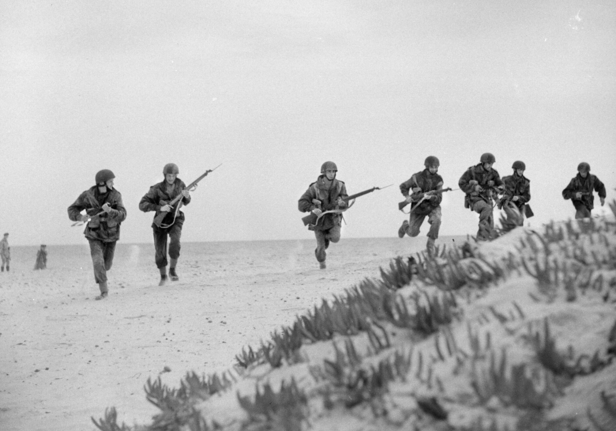 Operation Husky: Allied Power Struggle - Warfare History Network