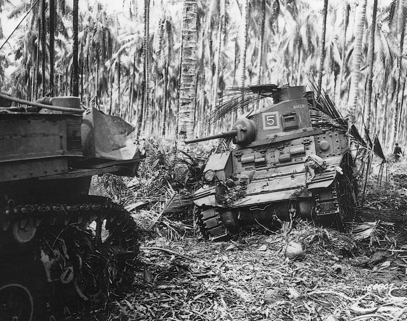 The jungle was so thick that even armor had trouble maneuvering. Here, a Stuart light tank used by the Australians guards a clearing in New Guinea, November 1942. 