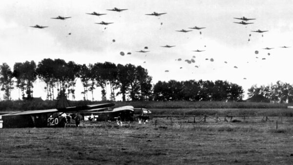 American paratroopers come to earth as Douglas C-47 transport aircraft drone in the skies above. Cows are grazing peacefully in this photo, undisturbed by the early events of Operation Market-Garden.