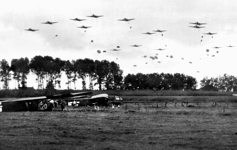 American paratroopers come to earth as Douglas C-47 transport aircraft drone in the skies above. Cows are grazing peacefully in this photo, undisturbed by the early events of Operation Market-Garden.